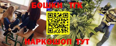 прущие грибы Камышлов