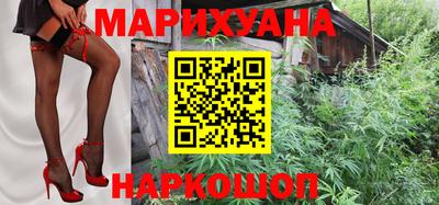 прущие грибы Камышлов